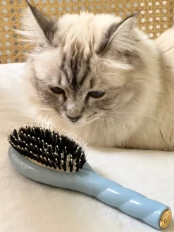La Bonne Brosse Our Hair Brushes|Our Small Brushes*N.03 The Small Gentle Scalp Care Hair Brush THE ESSENTIAL SOFTNESS Light Blue